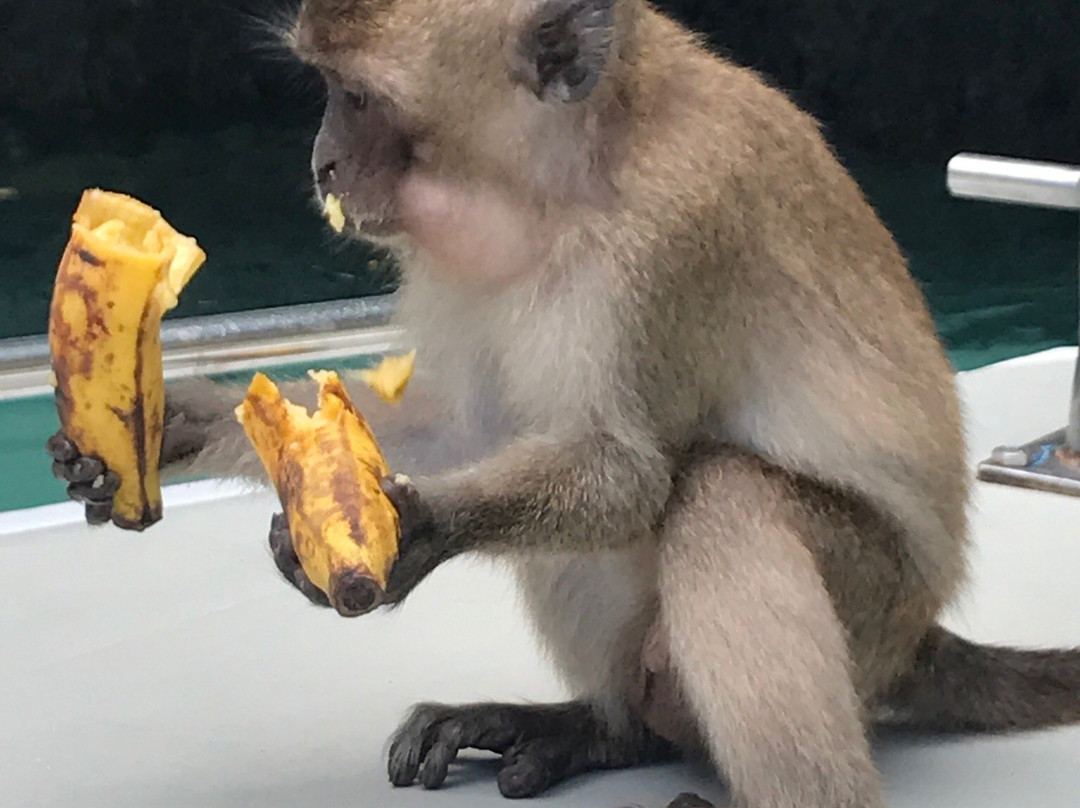 Nuditours-普吉镇必去景点