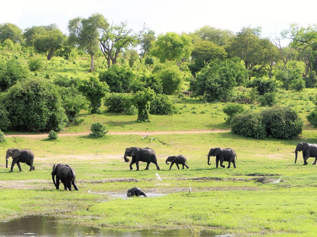 Mosu Safari Tours景点图片