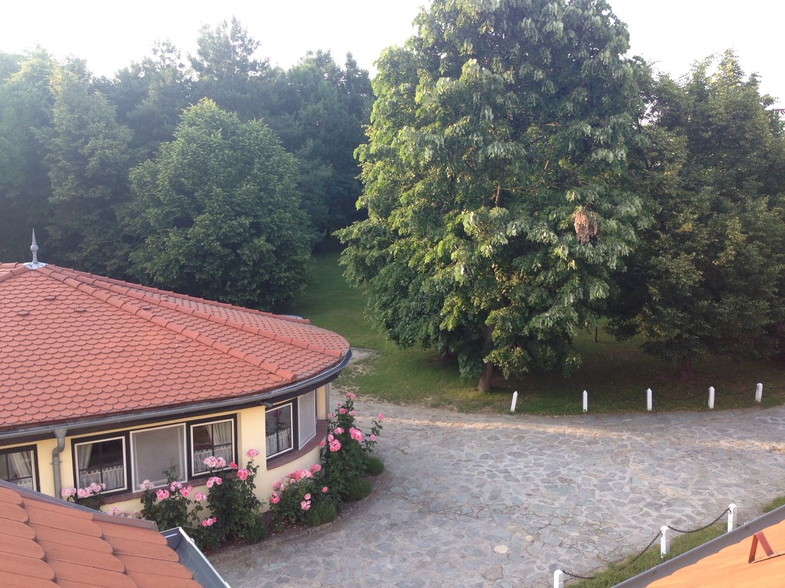 Hotel Oreg Malom-餐饮