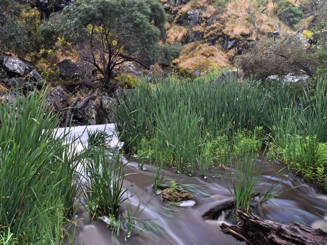Hindmarsh Falls景点图片
