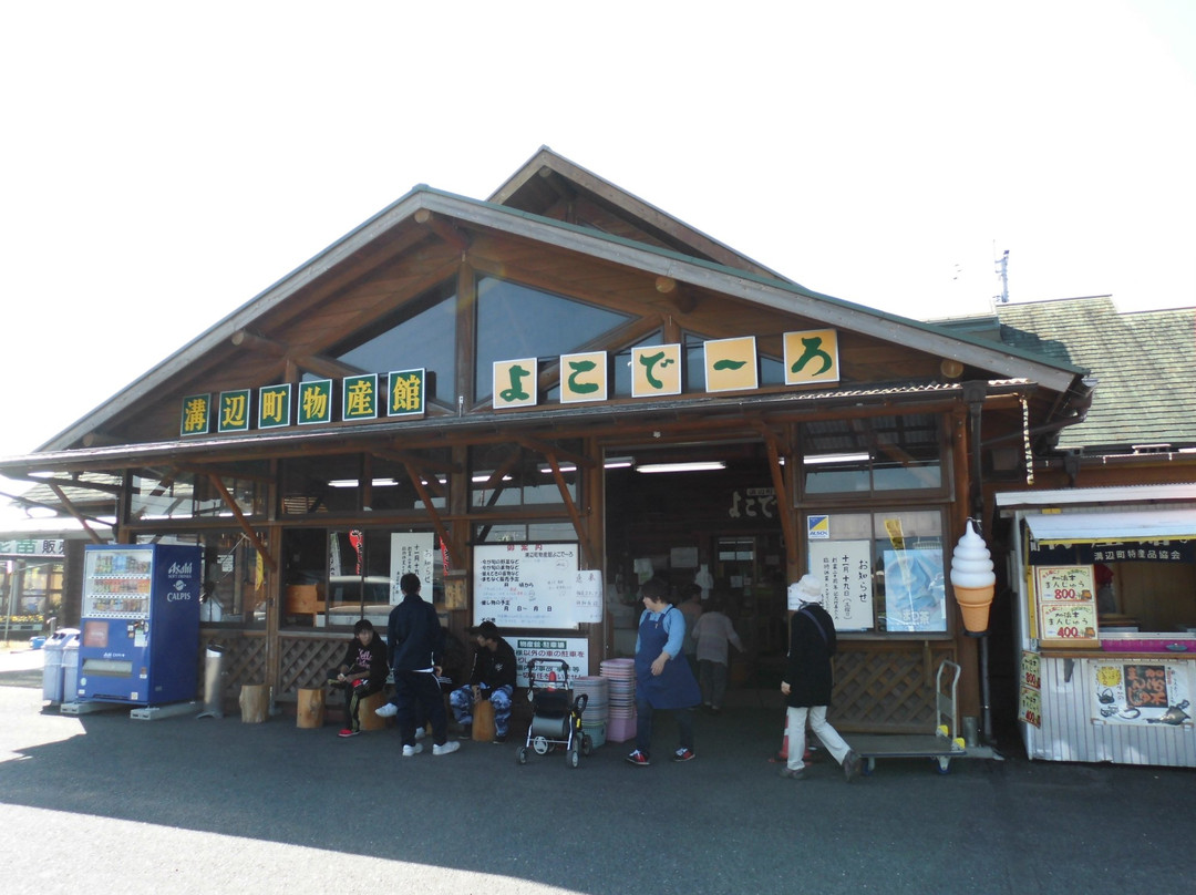 Skyroad Mizobe Rest Area Lookout-雾岛市必去景点