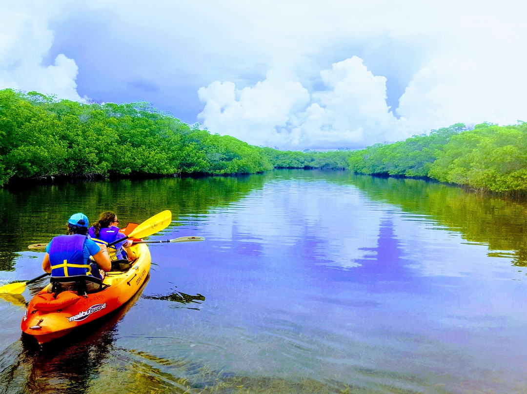 Paddle! the Florida Keys-伊斯拉摩拉达必去景点
