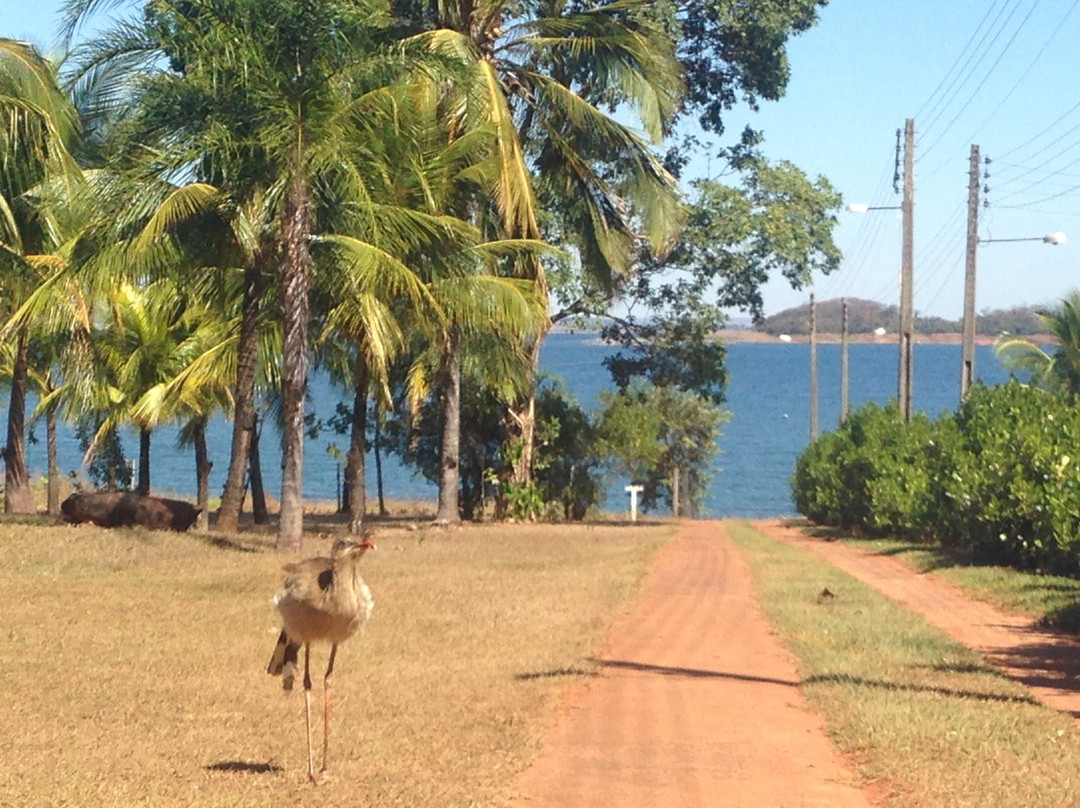 Lago das Brisas-Buriti Alegre必去景点