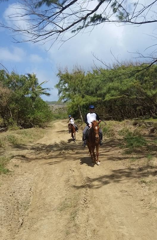 Cleland Equestrian Club-Saint Andrew Parish必去景点
