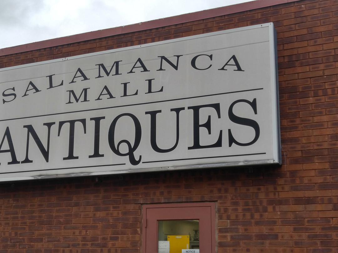 Salamanca Mall Antiques-Salamanca必去景点