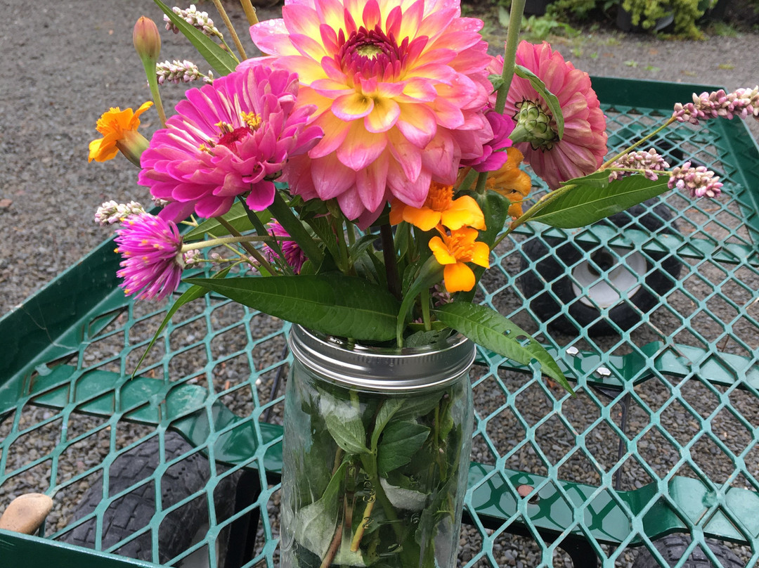 Creekside Gardens-Tunkhannock必去景点