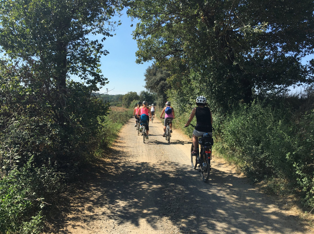 Happy Bikes Girona景点图片