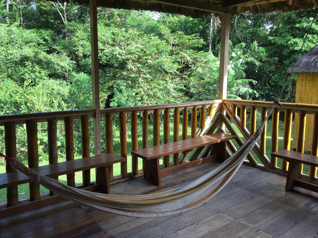亚马逊海豚山林小屋