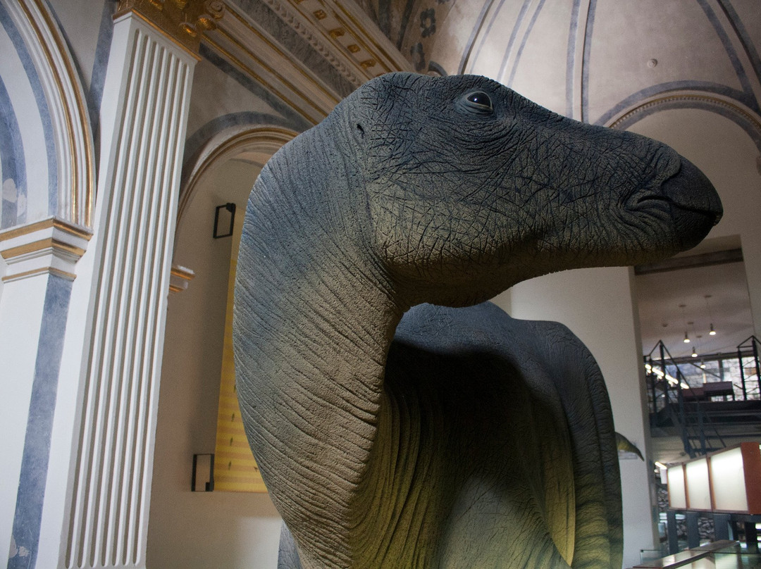 Museu Temps de Dinosaures景点图片