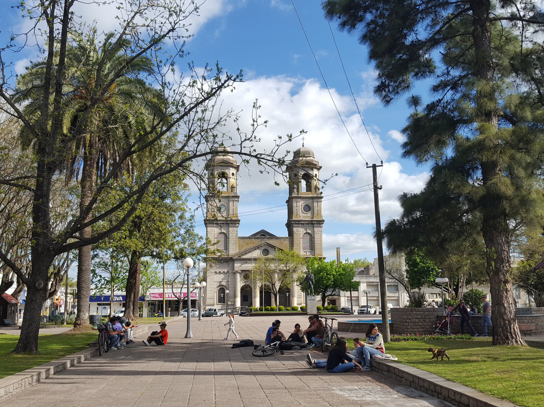 Plaza Constitucion景点图片