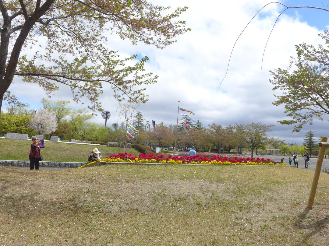 Kaiseiyama Park-郡山市必去景点