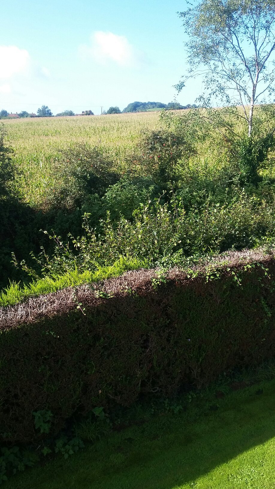 New House Farm Bed & Breakfast-官方