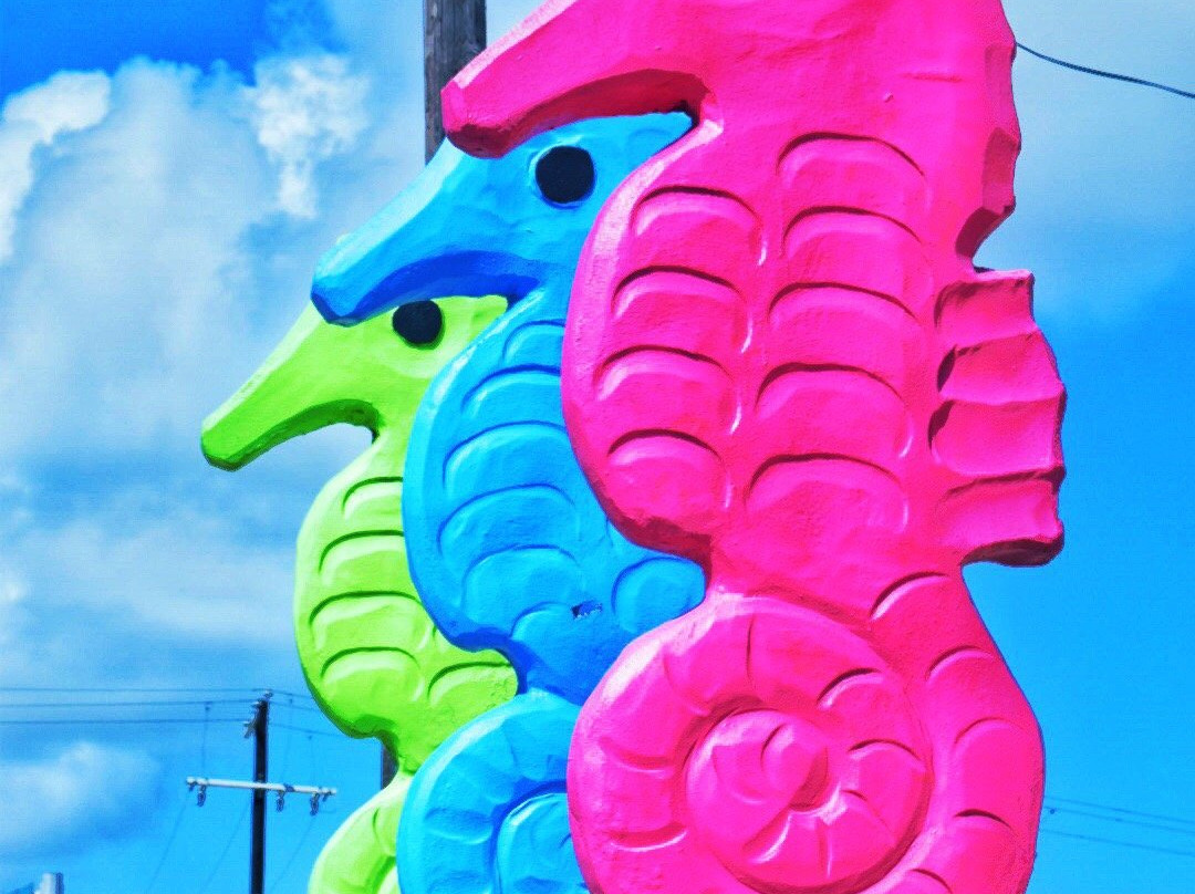 The Islander Port Aransas, TX-阿兰瑟斯港必去景点