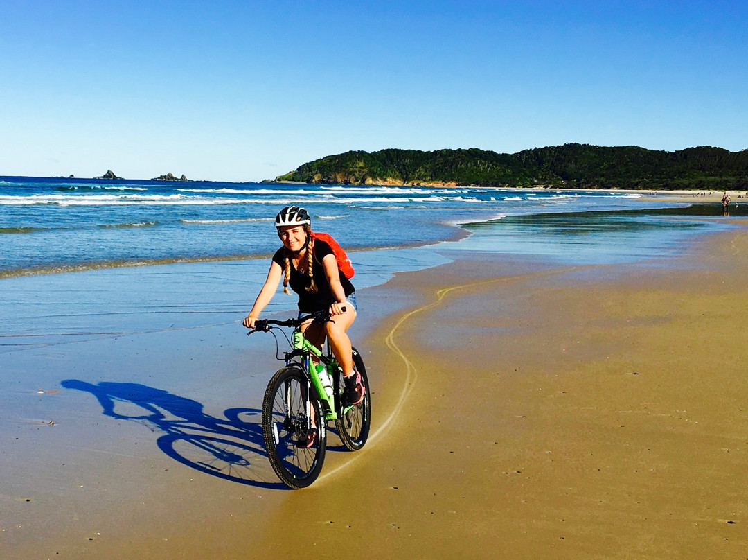 Mountain Bike Day Tours-拜伦湾必去景点