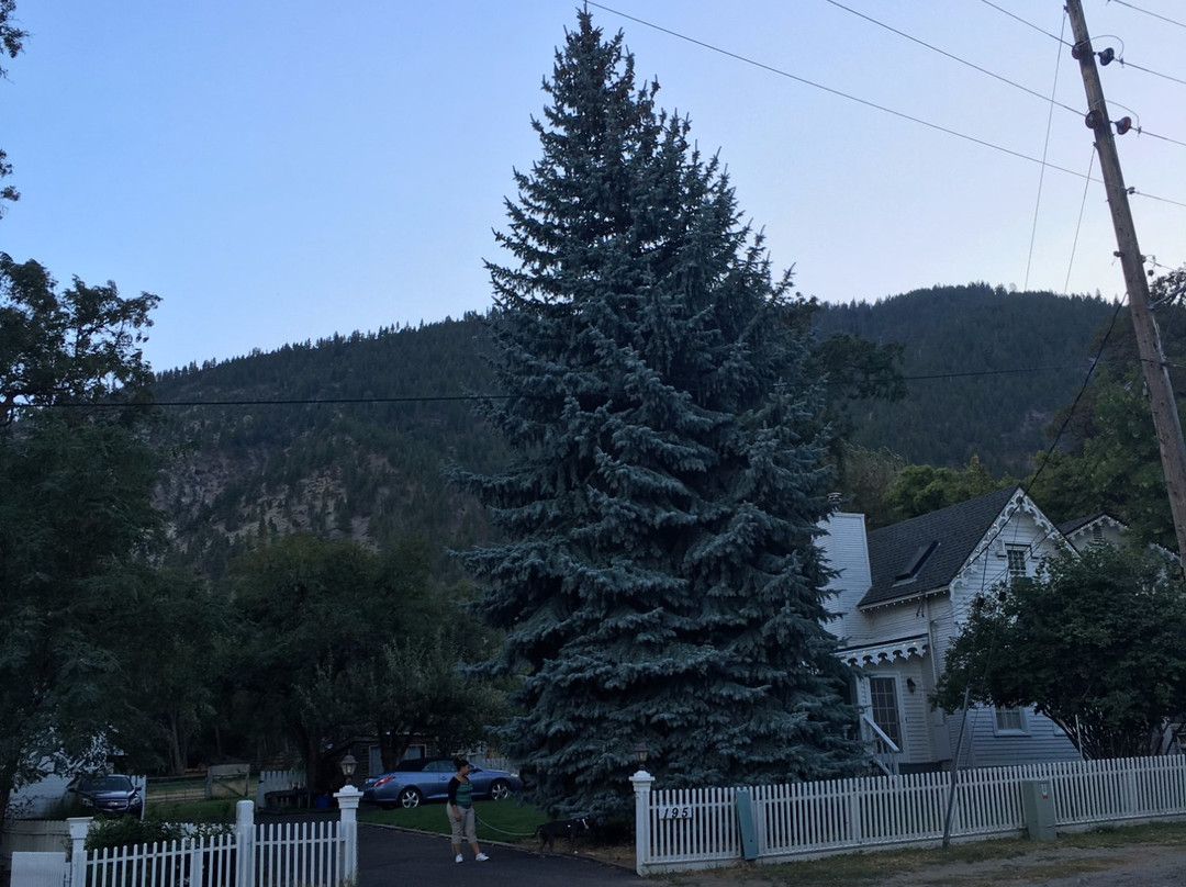 White House Inn主图