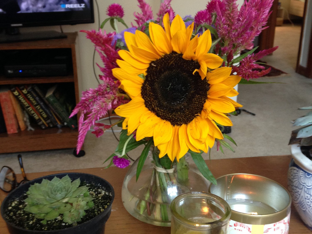 Bloomington Community Farmers Market-布卢明顿必去景点