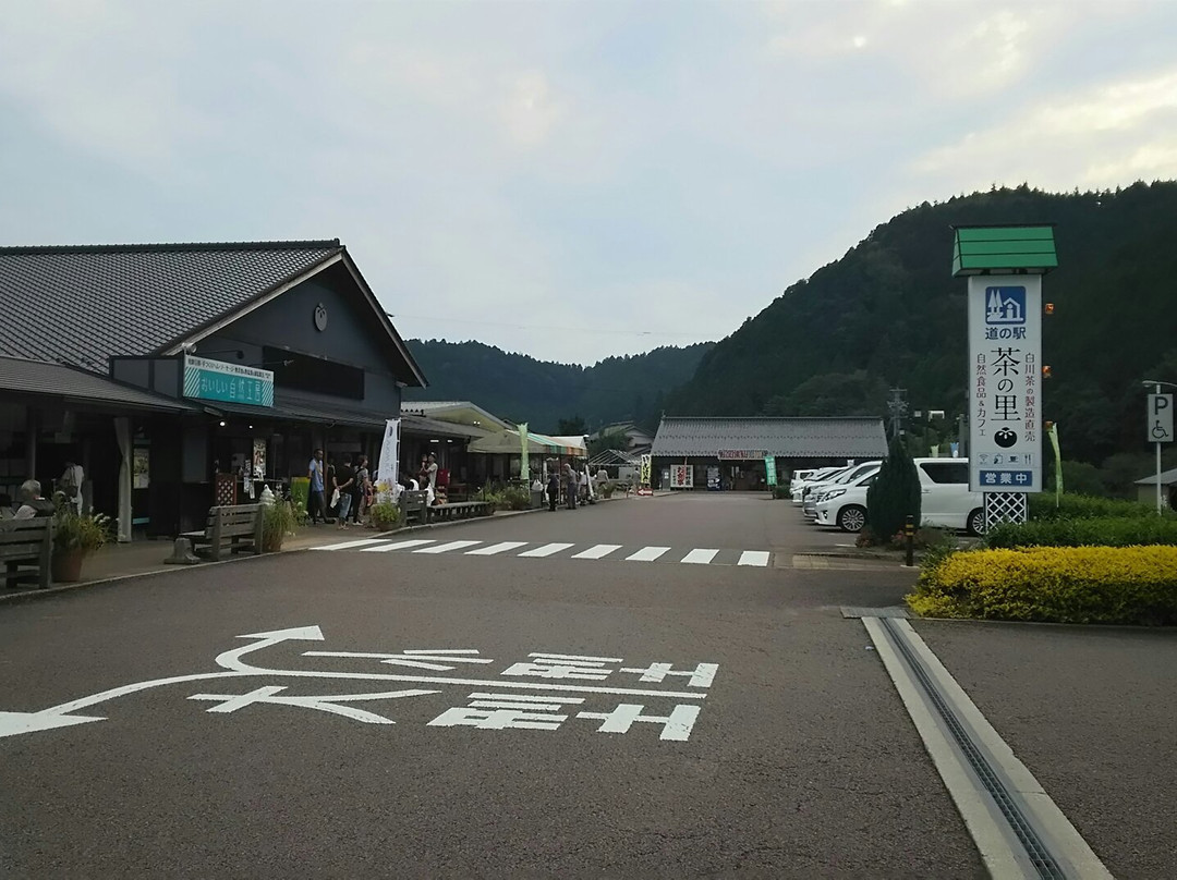 Michi-no-Eki - Home of the Tea Higashi Shirakawa-东白川村必去景点