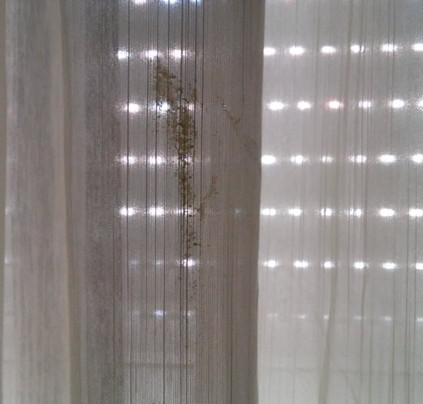 阿斯科纳酒店主图