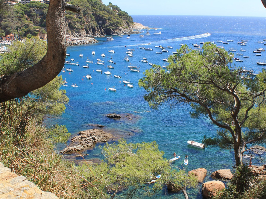 Platja Port Bo景点图片