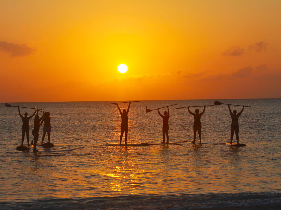 Vitamin Sea Cayman Islands-乔治城必去景点