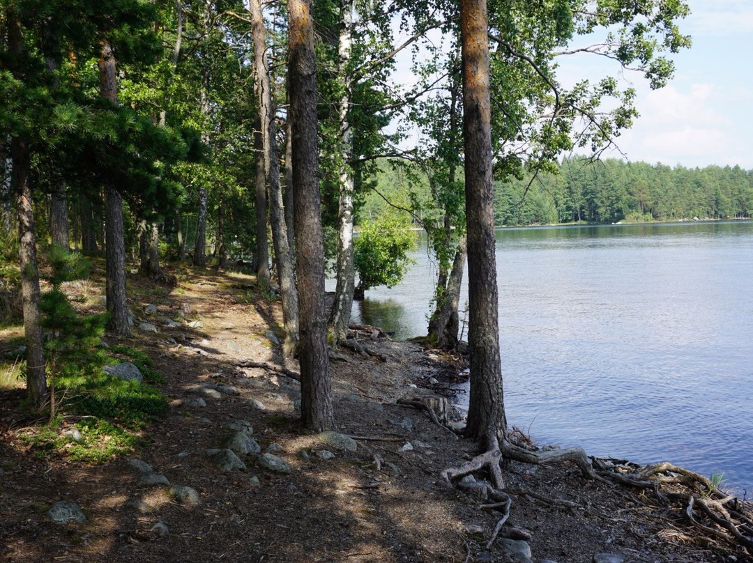 null-Asikkala