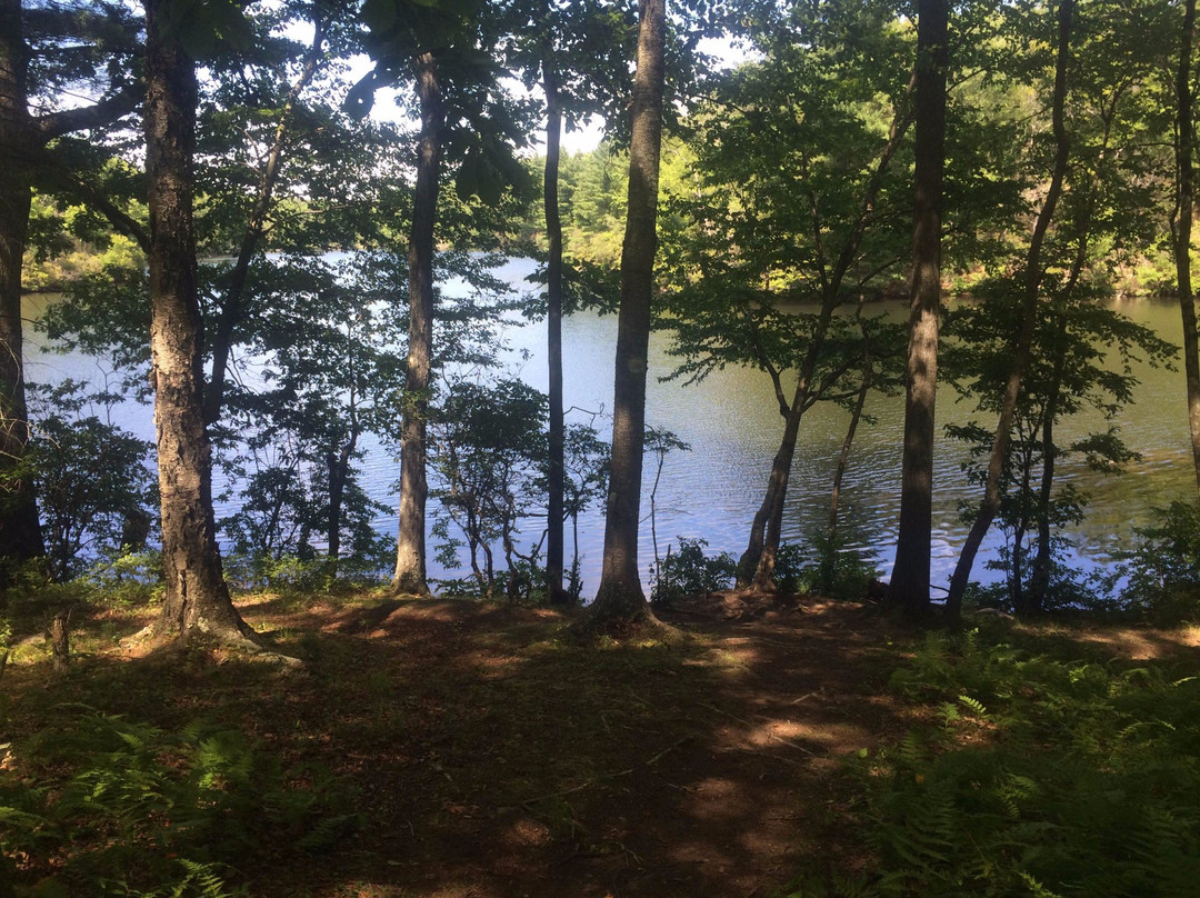 Collis P. Huntington State Park-Redding必去景点