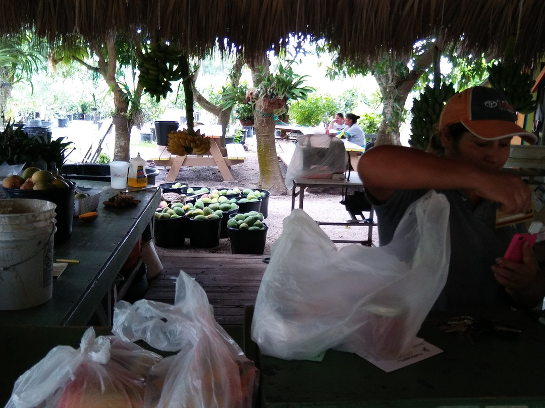 Fruitscape-Bokeelia必去景点