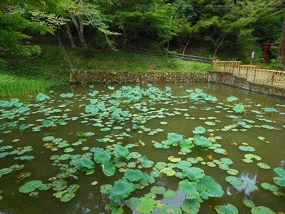 Entsuji Temple-丹波市必去景点