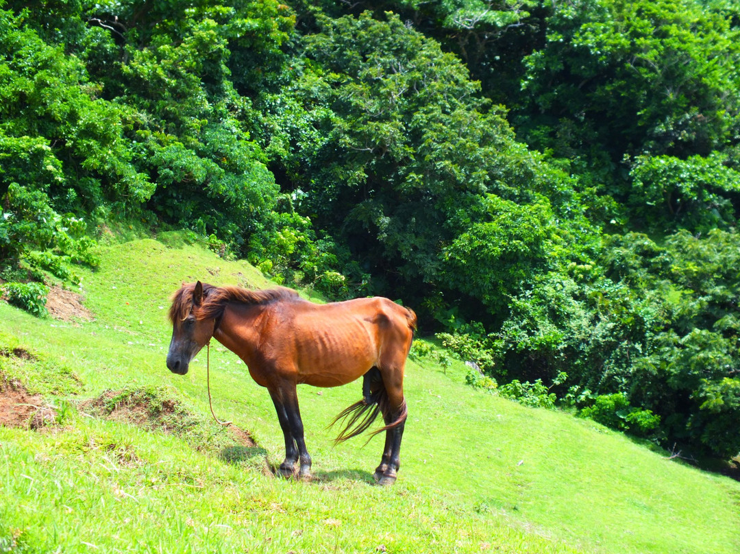 Marlboro Country - Racuh Apayaman-Batan Island必去景点
