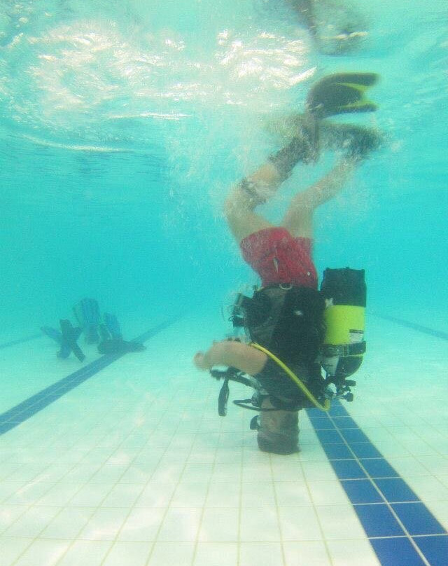 Immerse School of Diving景点图片