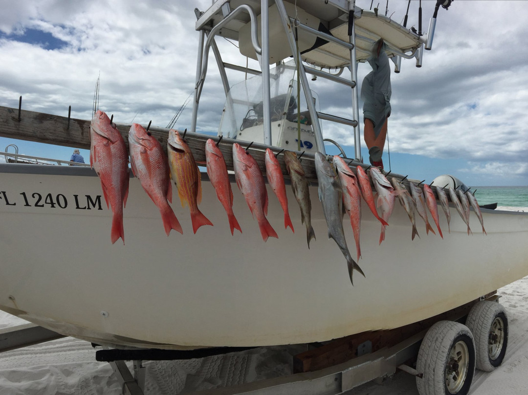 Captain Phil's Charters-Grayton Beach必去景点