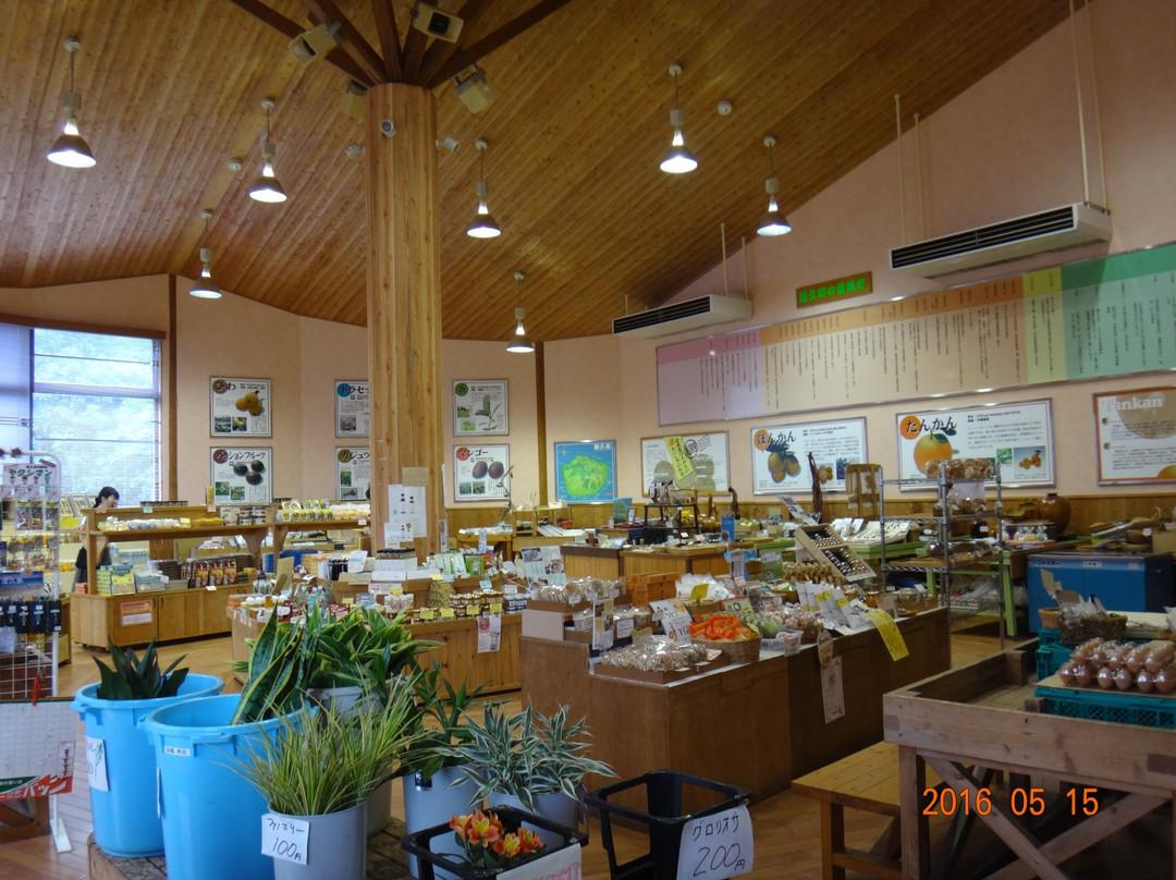 Pontankan-屋久岛町必去景点