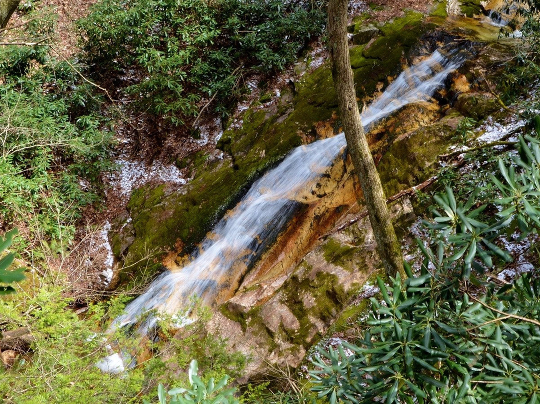 Rock Creek Park景点图片