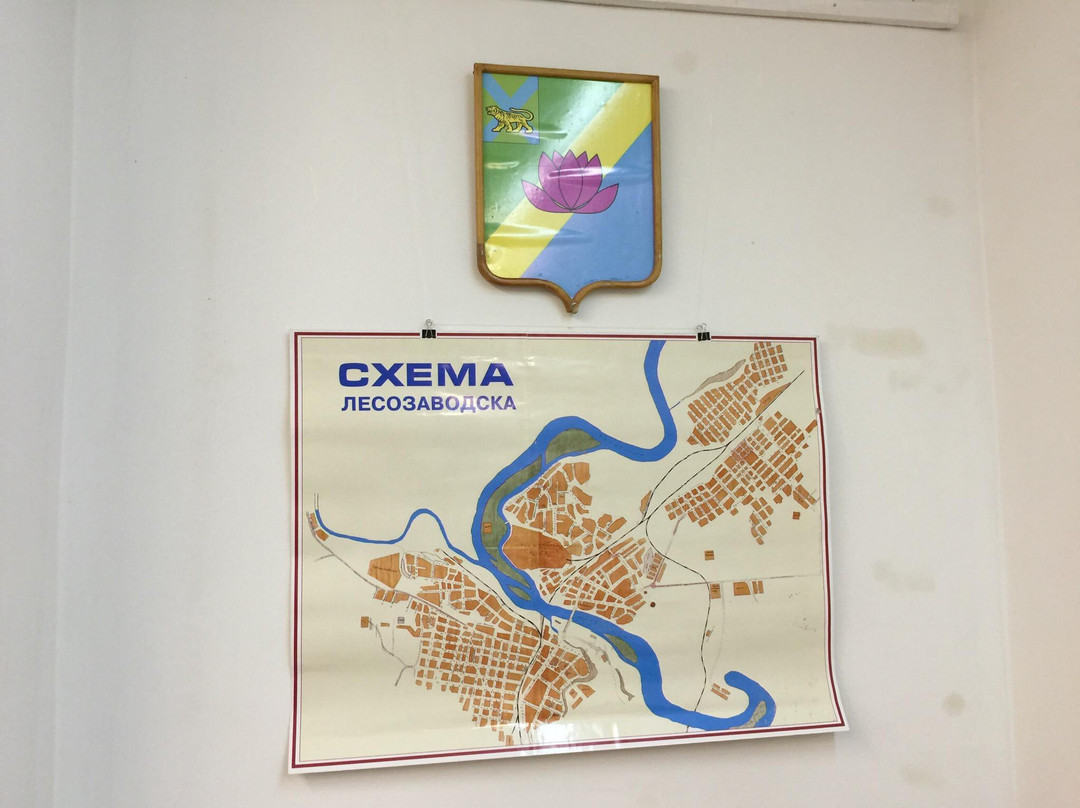 Lesozavodsk History Museum景点图片