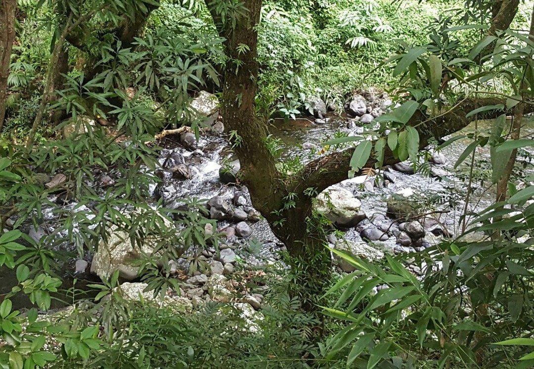 Cascade Delices景点图片