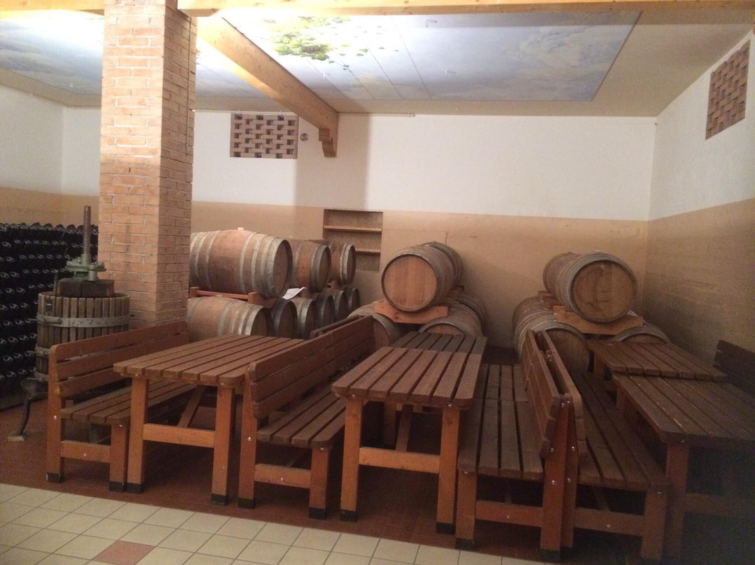 Azienda Agricola Costadoro景点图片