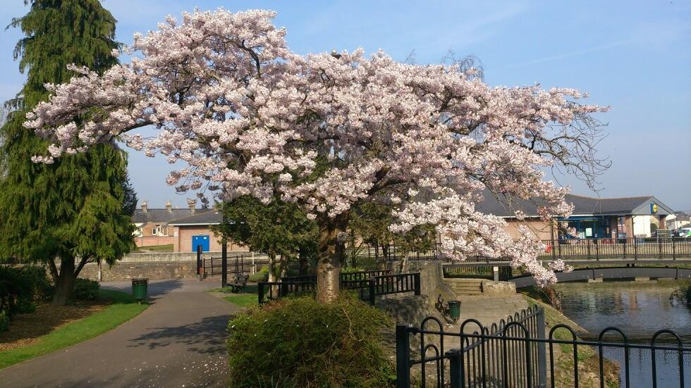 Taunton Visitor Centre-汤顿必去景点