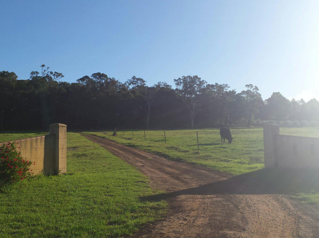 Valley of the Giants Bed and Breakfast主图