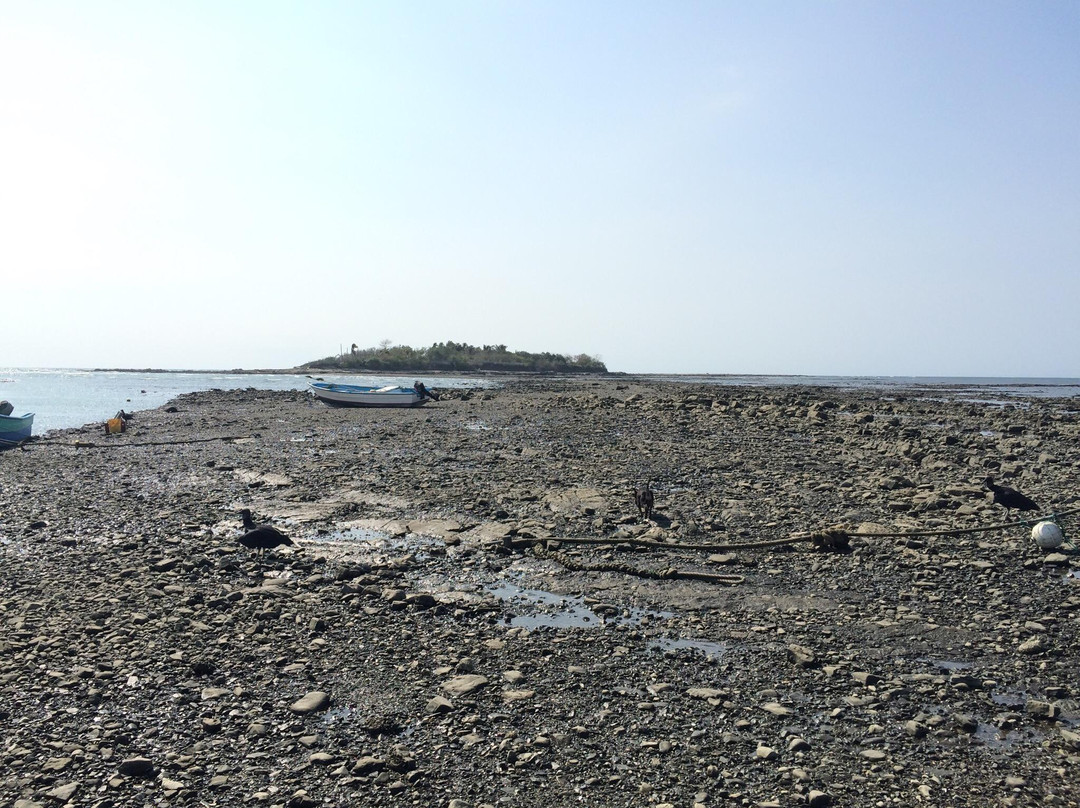 Isla de Cabuya景点图片