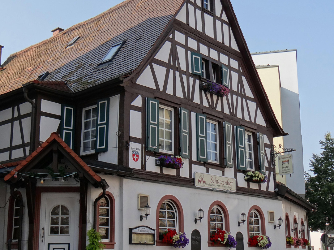 Biblis酒店住宿-Hotel Schuetzenhof with Loungegarden