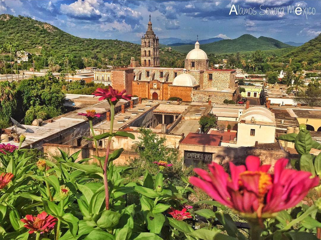 Alamos旅游攻略图片