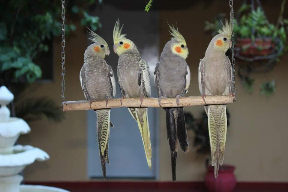 Pousada Sonho Meu主图