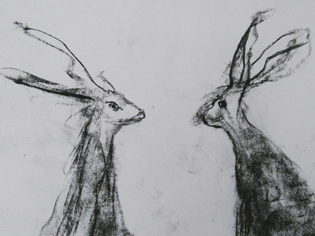 Sea Dog Art-埃克斯茅斯必去景点
