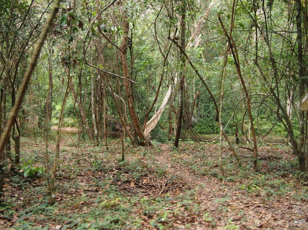 Kulen Prumep Wildlife Sanctuary景点图片