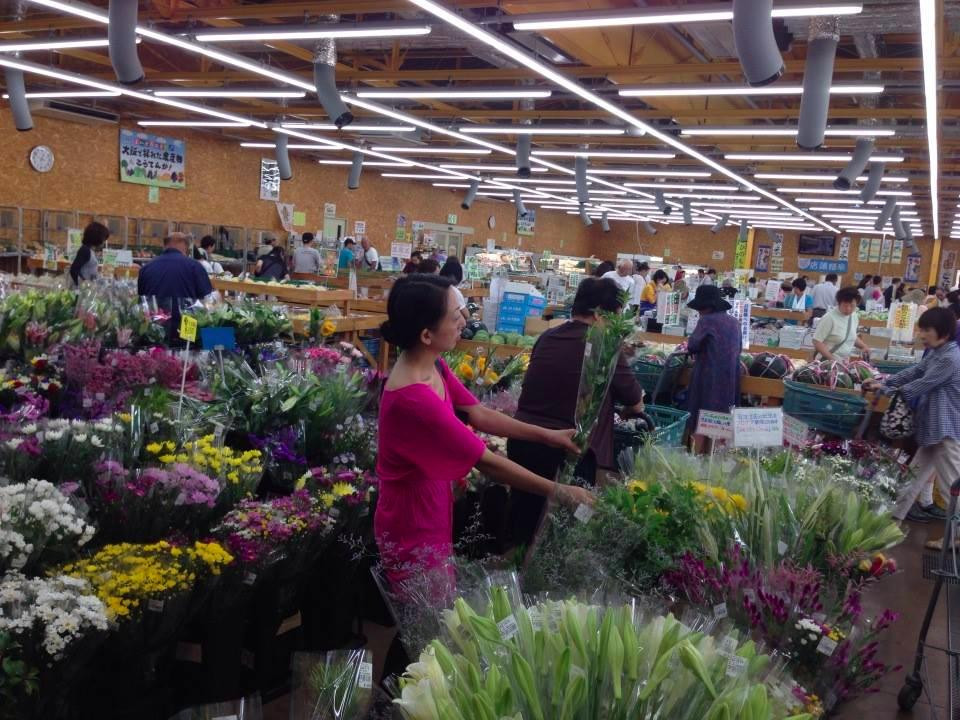 Michi no Eki Shiratorinosato Habikino-羽曳野市必去景点