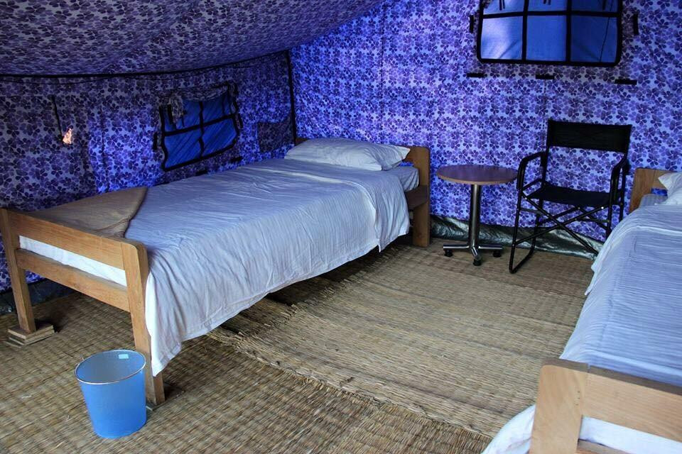 Koshi Tappu Wildlife Reserve-东部地区必去景点