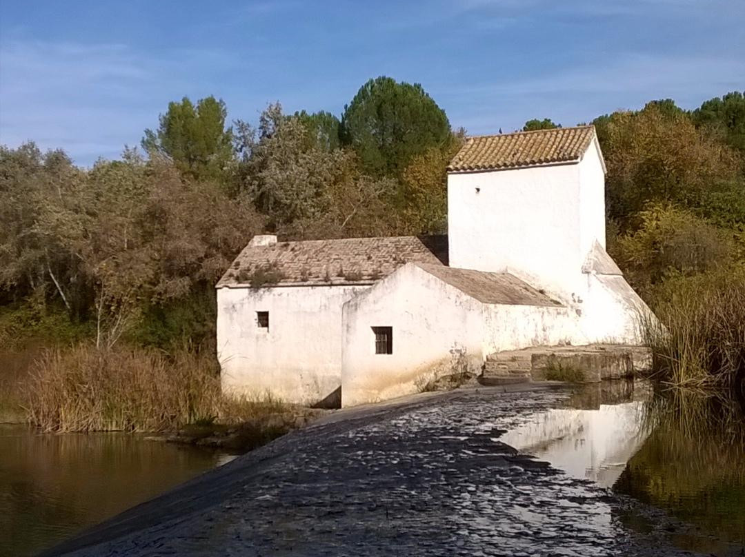 Molino de Benarosa-Alcala de Guadaira必去景点