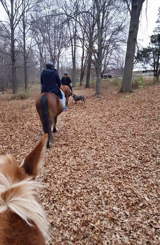 My Saddle Brook Farm-Walden必去景点