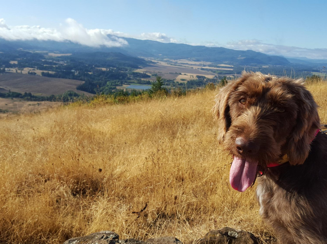 Mount Pisgah-尤金必去景点