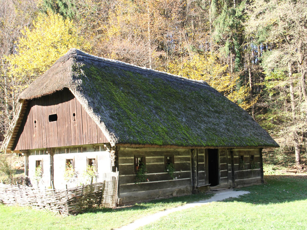 Open Air Museum Pleterje景点图片